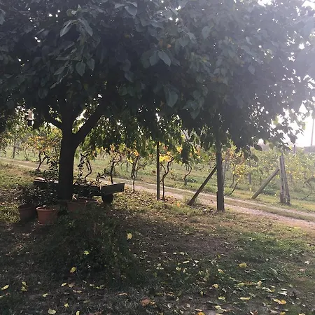 Le Magnolie Verolanuova