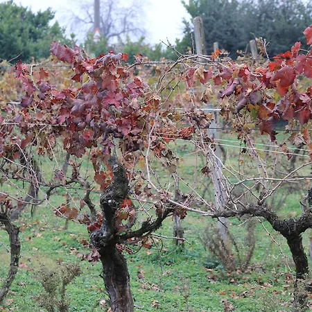 Alloggio per agriturismo Le Magnolie