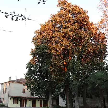 Le Magnolie